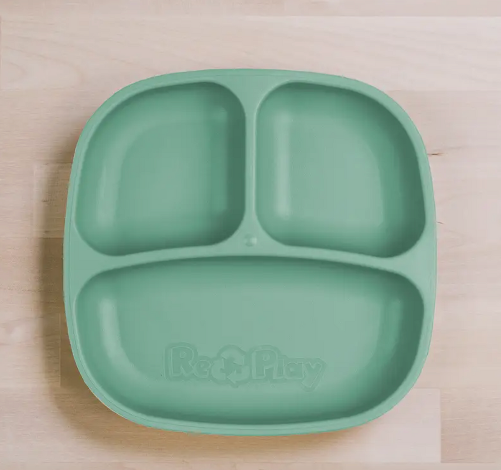 Divided Plate Sage - RePlay