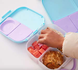 Mini Lunchbox - Disney Frozen - B Box