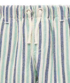 Iguana Stripe Pull on Shorts - Pure Baby