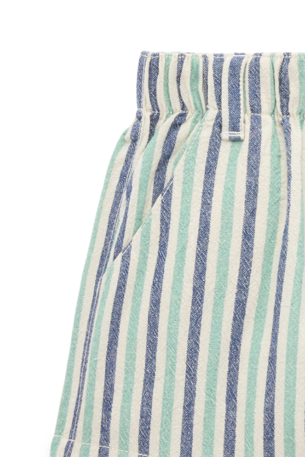 Iguana Stripe Pull on Shorts - Pure Baby