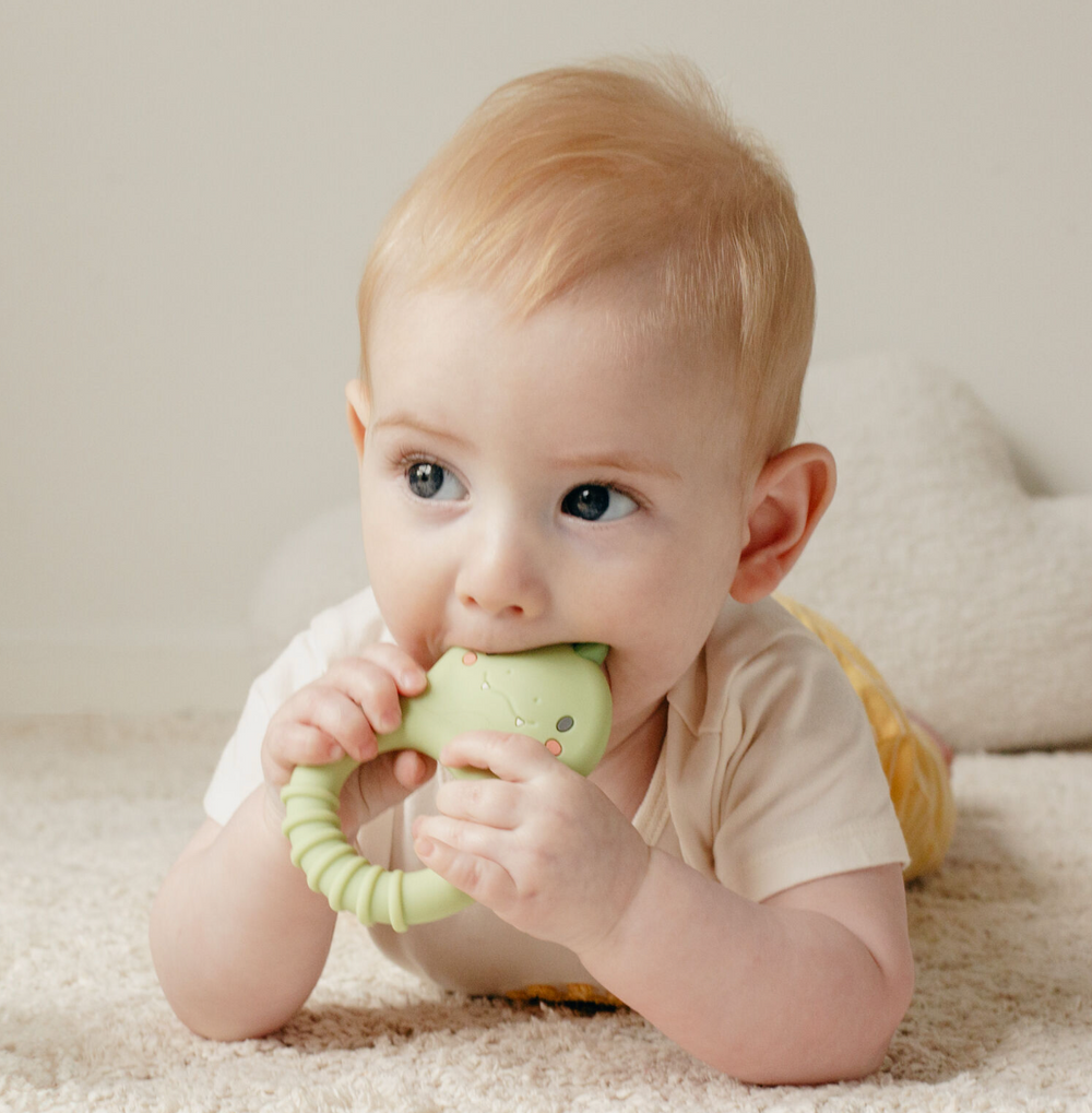 Silicone Teether - Dino - Tiger Tribe