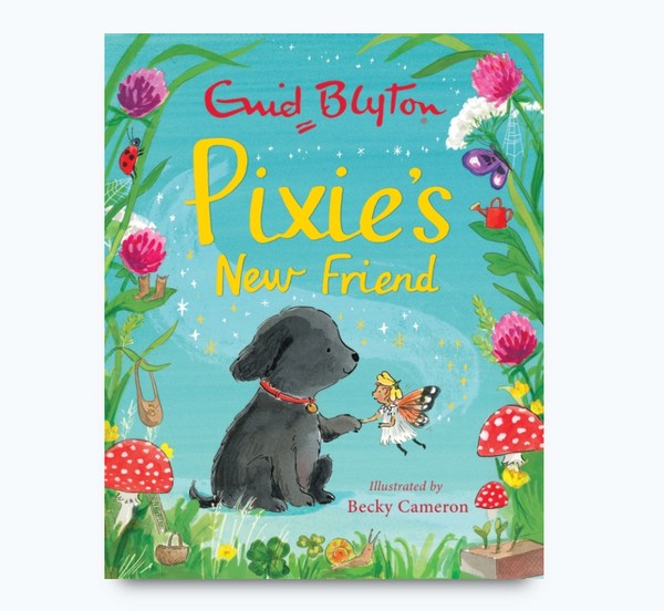 Pixie’s New Friend - Enid Blyton Book