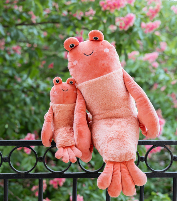 Craig the Crayfish - Nana Huchy