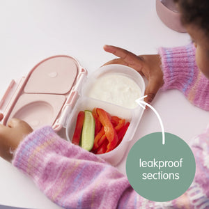 Snackbox - Spearmint - B Box