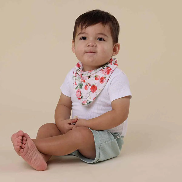 Strawberry Organic Dribble Bib - Snuggle Hunny