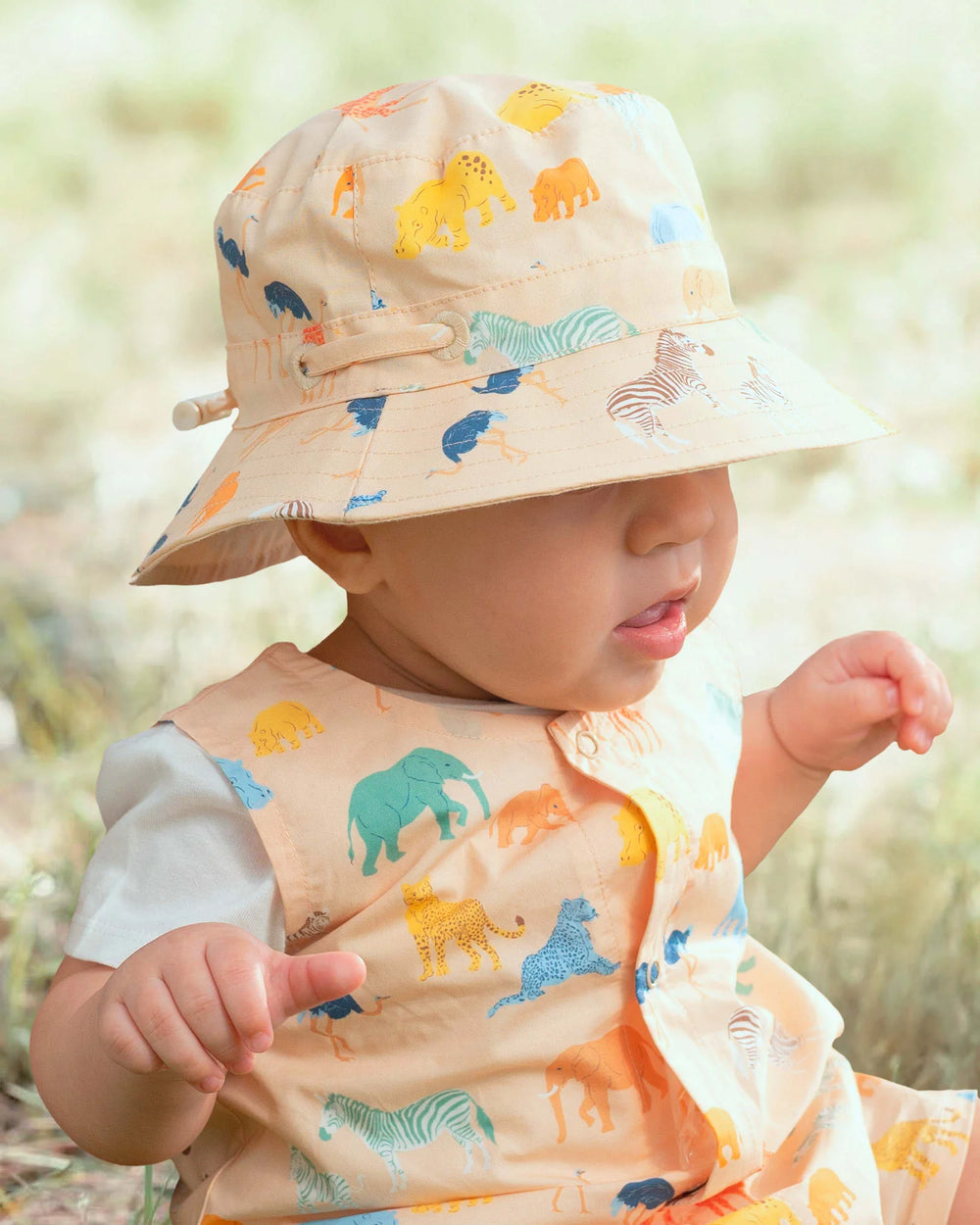 Sunhat Banjo - Congo Driftwood - Toshi