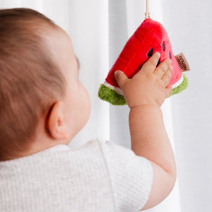 Mini Market Brunch Stroller Toys - Watermelon & Blueberry - Living Textiles