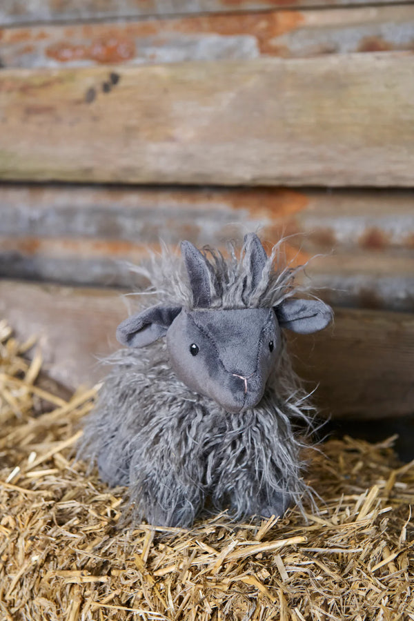 Aiden the Angora Goat - Nana Huchy
