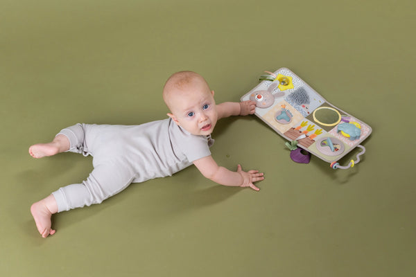 Taf Toys Developmental Activity Center 0M+ - Playette