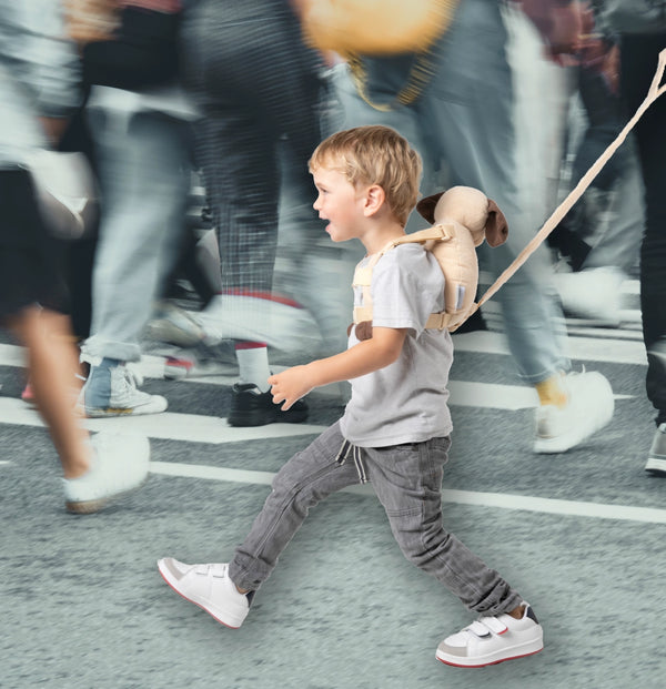 2-in-1 Harness Buddy - Pink Puppy - Playette