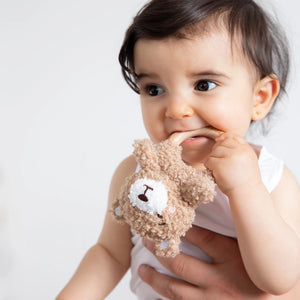 Teething Ring & Dummy Chain Gift Set - Cuddly Bear - Living Textiles