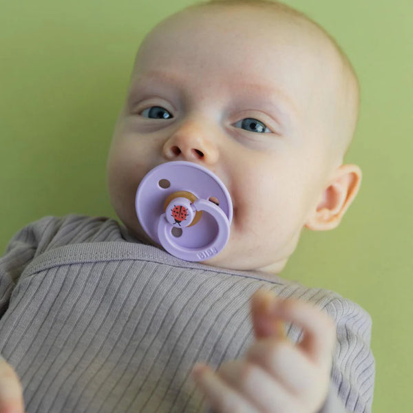 Studio Colour - Ladybug - Violet Sky Mix - Size Two - BIBS Denmark