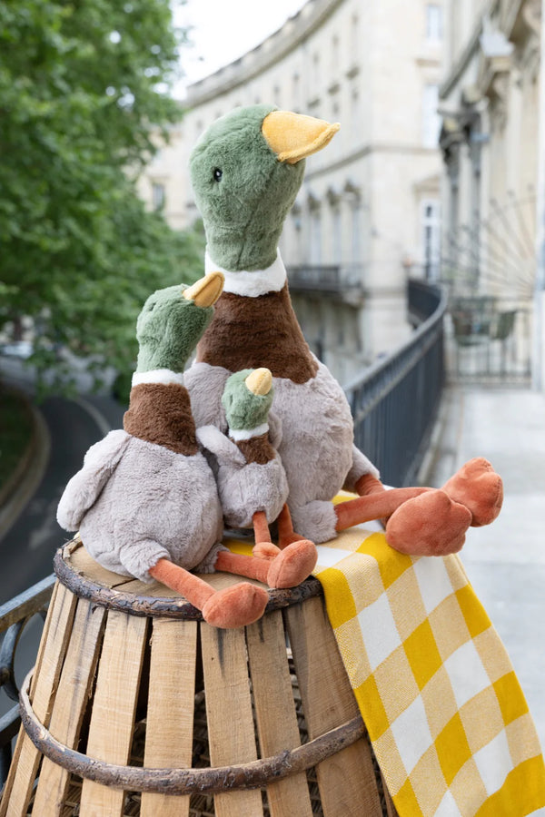 Big Hugo the Mallard Duck - Nana Huchy