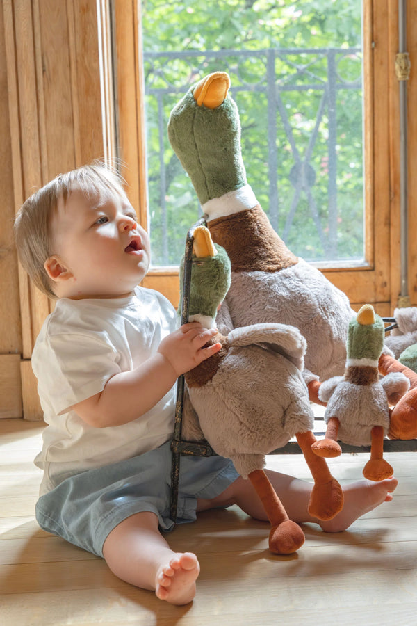 Big Hugo the Mallard Duck - Nana Huchy