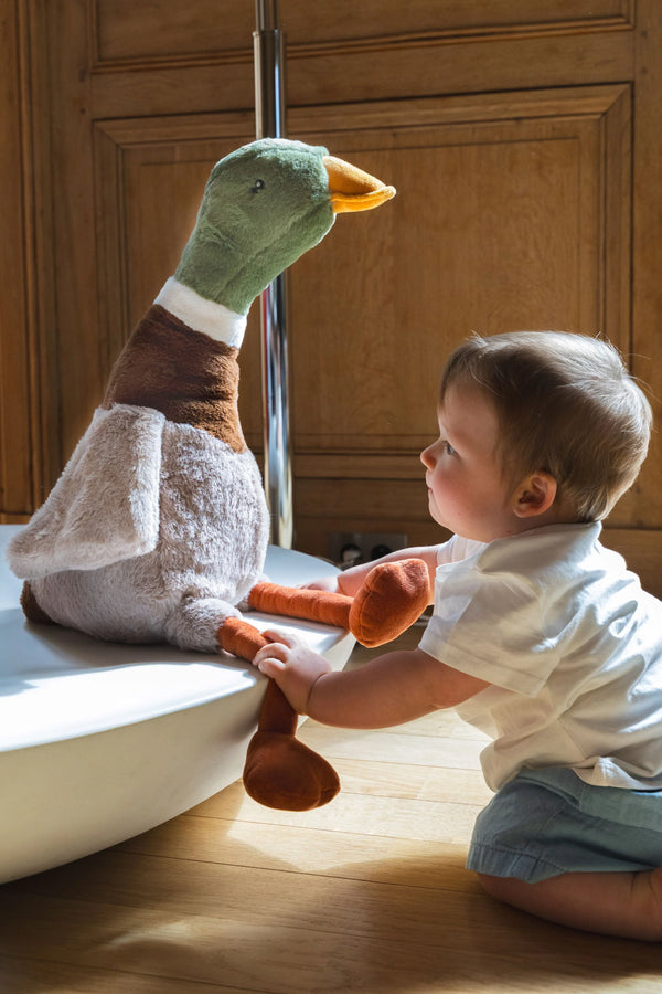 Big Hugo the Mallard Duck - Nana Huchy