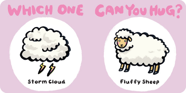Which One Can You Hug? Board Book