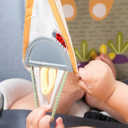 Taf Toys Savannah Play & Kick Car Toy 0M+ - Playette