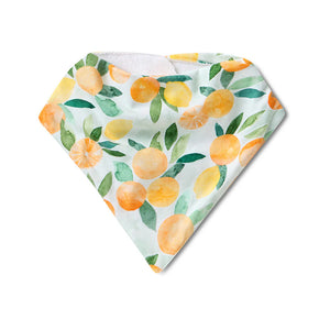 Citrus Squeeze Organic Dribble Bib - Snuggle Hunny