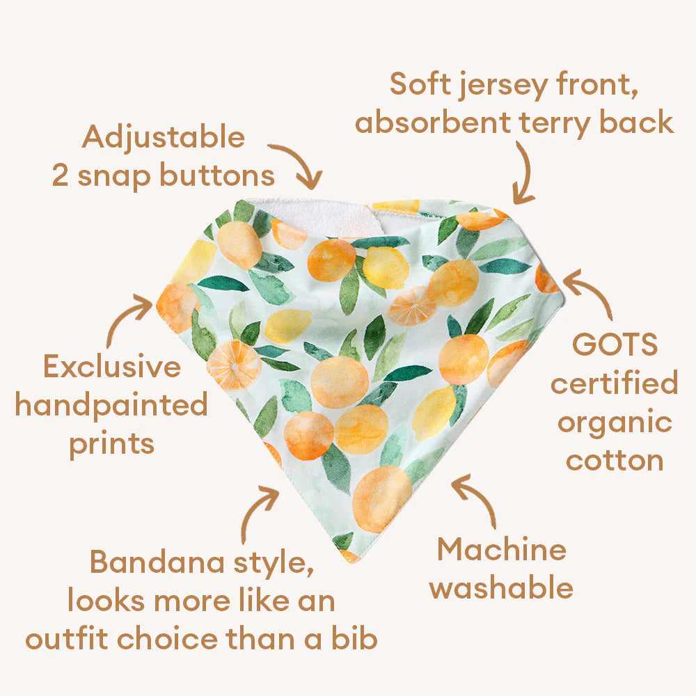 Citrus Squeeze Organic Dribble Bib - Snuggle Hunny