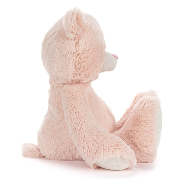 Demdaco My First Teddy Pink 24cm - Mary Meyer