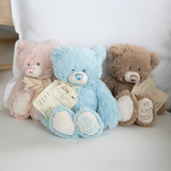 Demdaco My First Teddy Blue 24cm - Mary Meyer