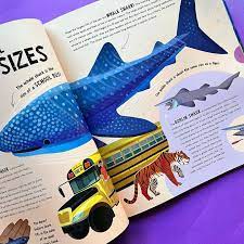 Sensational Sharks - Hardback Book