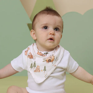 Bears Organic Dribble Bib - Snuggle Hunny
