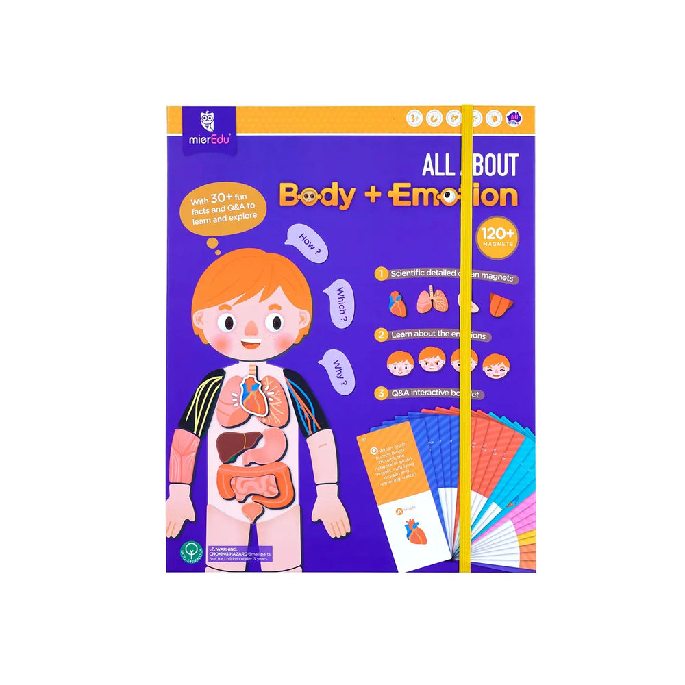 Magnetic Kit - My Body + Emotion - MierEdu