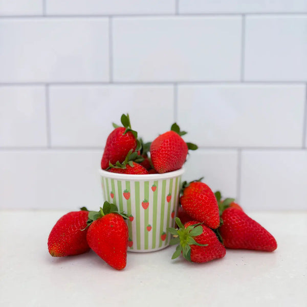 Sweet Thing Bamboo-Based Snack Pot - BBCINO