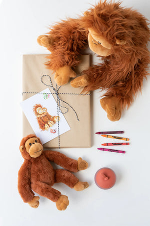 The Orangutans - Nana Huchy