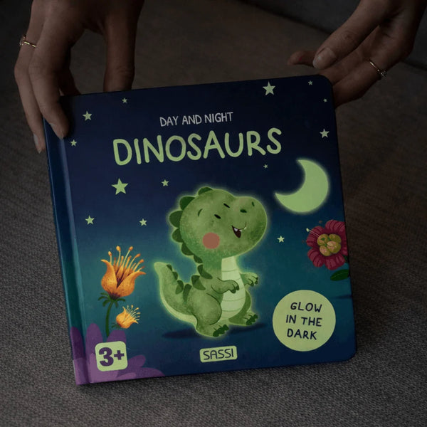 Board Book - Glow-In-The-Dark - Dinosaurs - Sassi