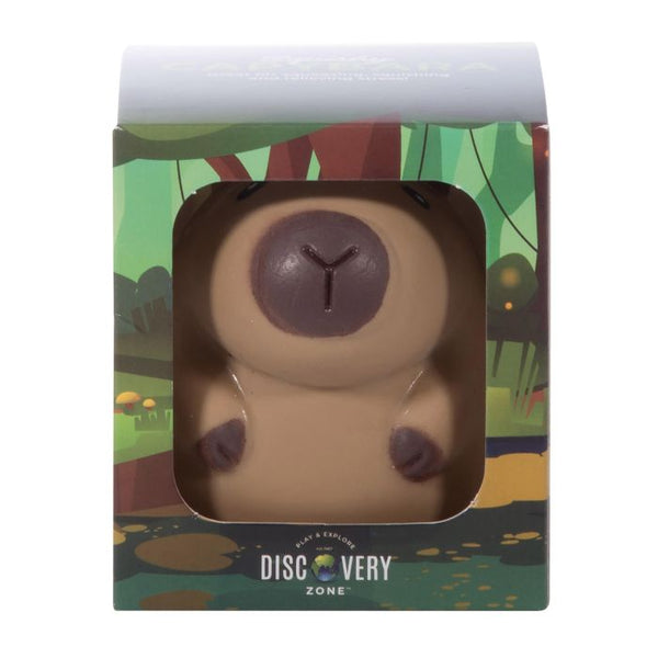 Squishy Capybara - IS GIFT