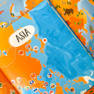 What How and Why Flags Book and Poster - Sassi