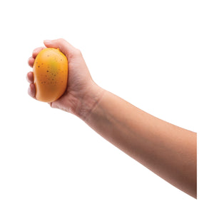 Squishy Mango Squish Toy - IS GIFT