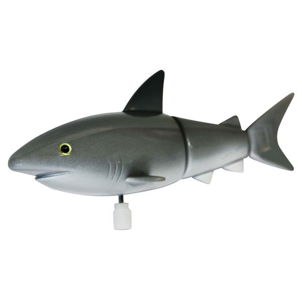 Wind-up Aussie Sharks - IS GIFT