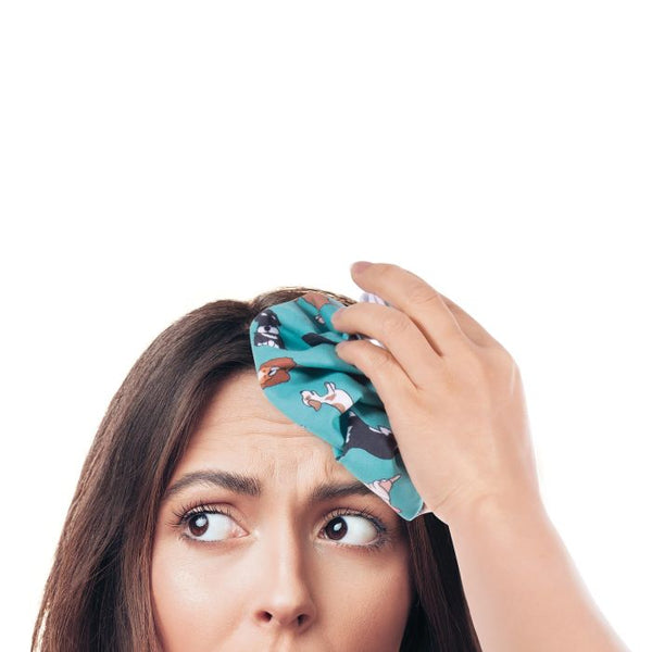 Ice Pack - Dogs - IS GIFT