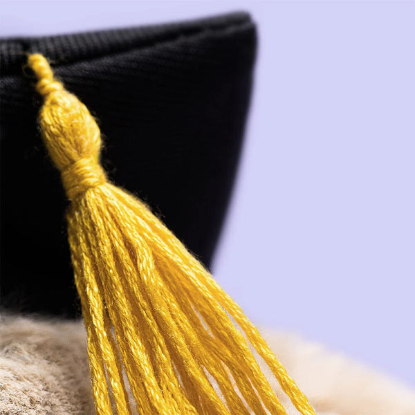 Bashful Bunny Beige Graduation Outfit - Jellycat