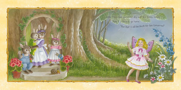 Little Fairy and the Diamond Necklace - Shirley Barber