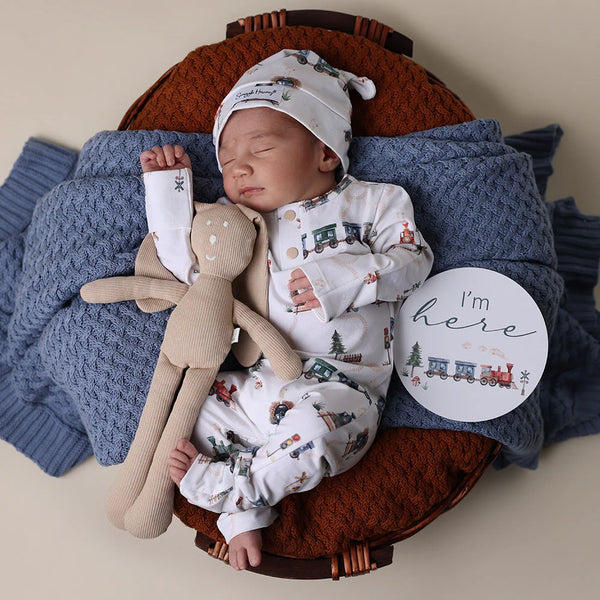 Trains & Pebble Reversible Milestone Cards - Snuggle Hunny