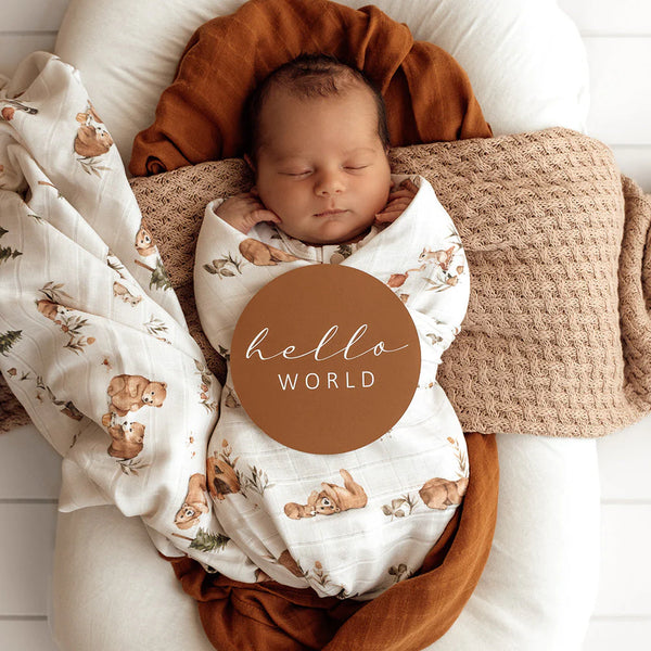 Bears Organic Muslin Wrap - Snuggle Hunny