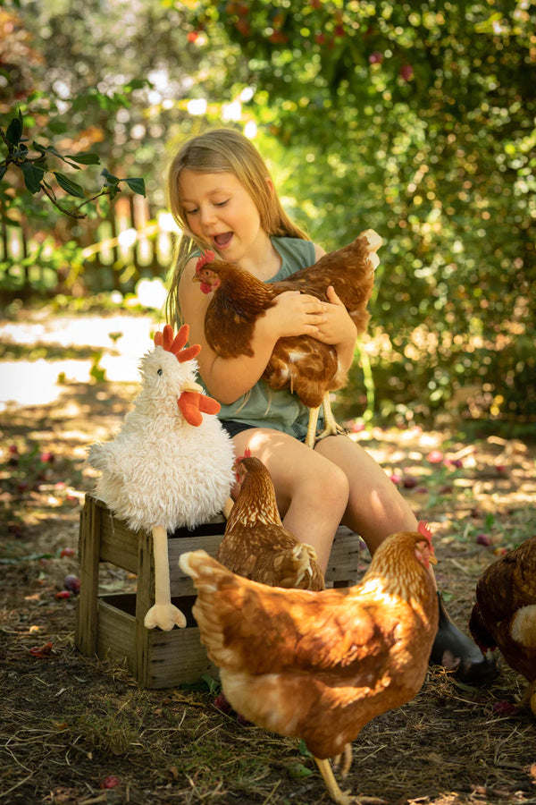 Roy the Rooster - Nana Huchy