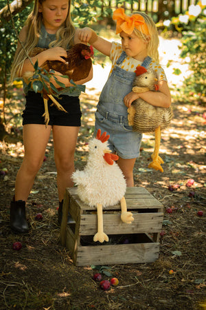 Roy the Rooster - Nana Huchy