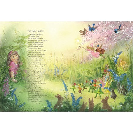 Fairy Book - Poems - Paperback - Shirley Barber