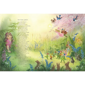 Fairy Book - Poems - Paperback - Shirley Barber