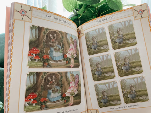 Shirley Barber's Fairy Folk Activity Book