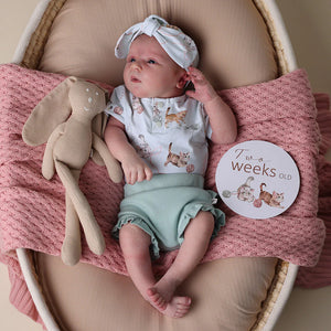 Kittens & Pebble Reversible Milestone Cards - Snuggle Hunny DISCOUNTED