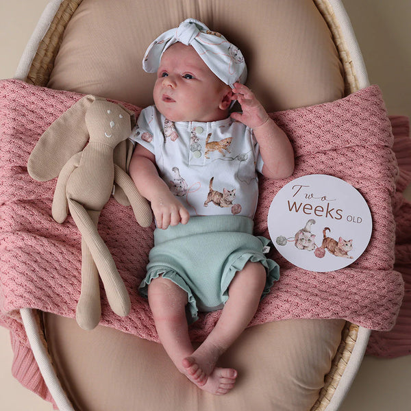 Kittens & Pebble Reversible Milestone Cards - Snuggle Hunny DISCOUNTED