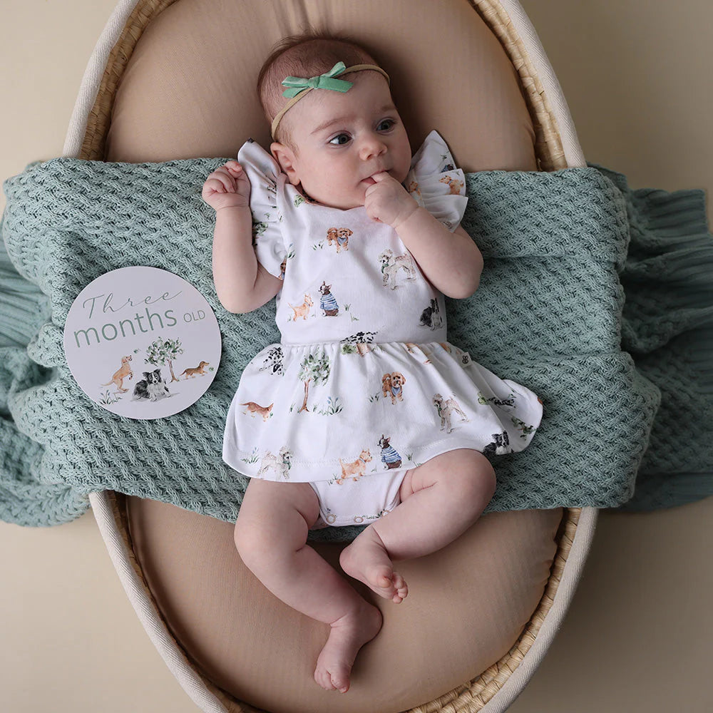 Dog Park & Seedling Reversible Milestone Cards - Snuggle Hunny