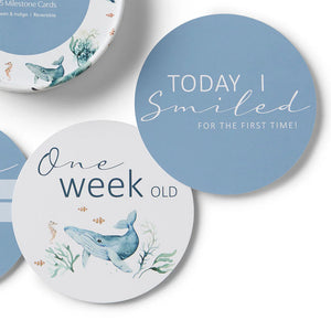 Ocean & Indigo Reversible Milestone Cards - Snuggle Hunny