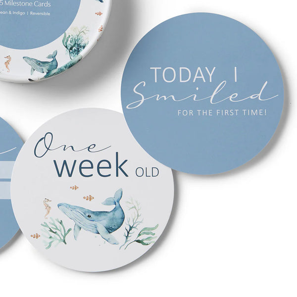 Ocean & Indigo Reversible Milestone Cards - Snuggle Hunny